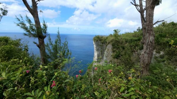 A view of the ocean from above.