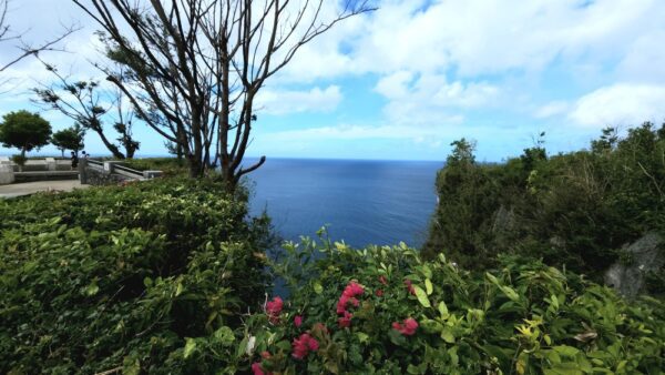 A view of the ocean from above with flowers in the foreground.