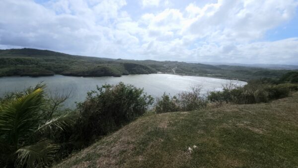 A view of the water from above.