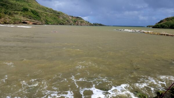 A body of water with people swimming in it.