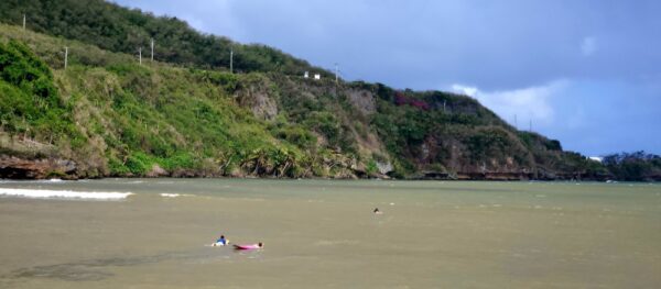 A person in the water on a surfboard.