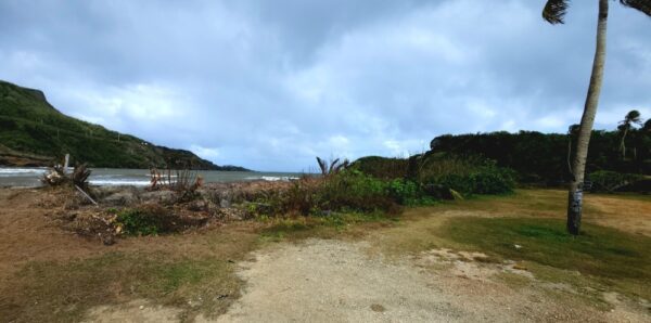 A dirt road near the ocean with trees in the background.