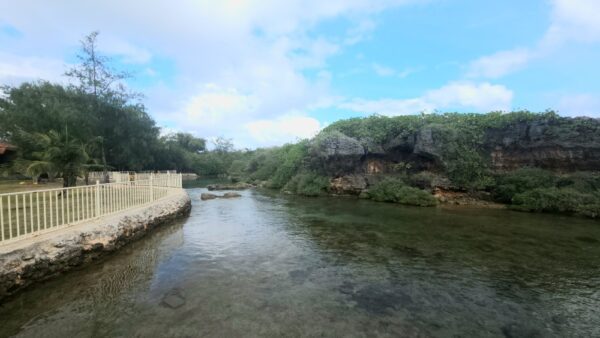 A river with trees and rocks in the background.