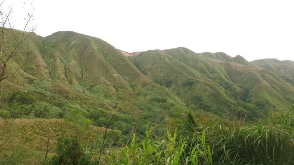 A view of some green hills and trees