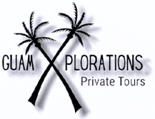 A logo of palm plorations private tour